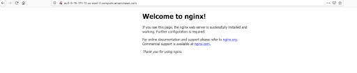 welcome to nginx screen